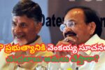 AP ప్రభుత్యానికి వెంకయ్య సూచనలు చంద్రబాబు అమలు చేస్తారా?