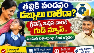 తల్లికి వందనం డబ్బులు రాలేదా? గ్రీవెన్స్ ఇచ్చిన వారికి శుభవార్త ... కీలక అప్డేట్ | తల్లికి వందనం | Netivartha.com