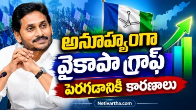 అనూహ్యంగా జగన్ వైకాపా గ్రాఫ్ పెరుగుతోందా? | పెరగడానికి కారణాలివే | Netivartha.com