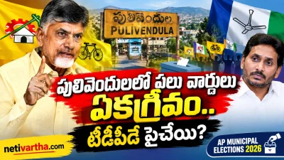 పులివెందులలో టీడీపీకి భారీ ఆధిక్యం? పలు వార్డులు ఏకగ్రీవం | AP Municipal Elections 2026 | TDP | YCP | Netivartha.com